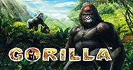 Gorilla - Κουλοχέρηδες
