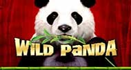 Δωρεάν Φρουτάκι Wild Panda