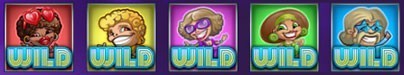 disco spins wilds