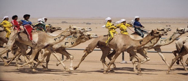 αγώνες με καμήλες